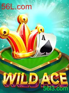 Descubra o Empolgante Mundo de WildAce